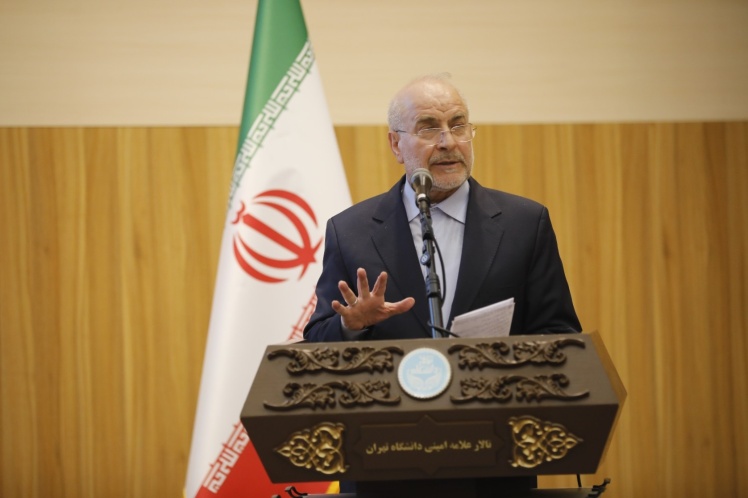 نهاد دولت باید خردمند و توانمند باشد